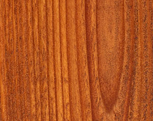 Fence Stain Contractor in Vestavia AL
